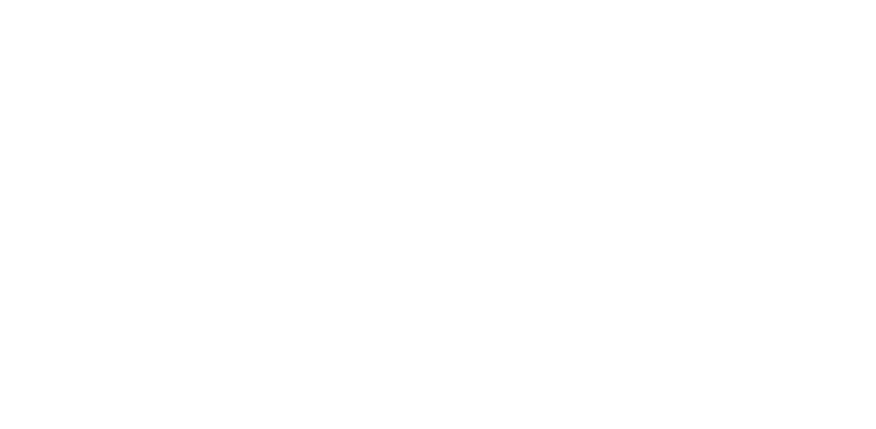 Discover Calla Nova logo